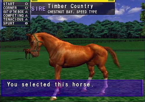 Derby Owners Club - Horse Shoe Edition by Sega Corporation